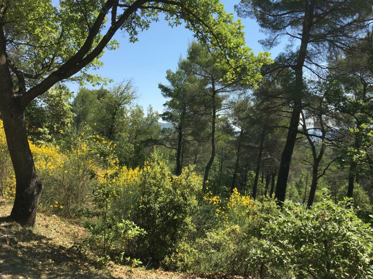 Villa De Carbonelle Pierrevert エクステリア 写真