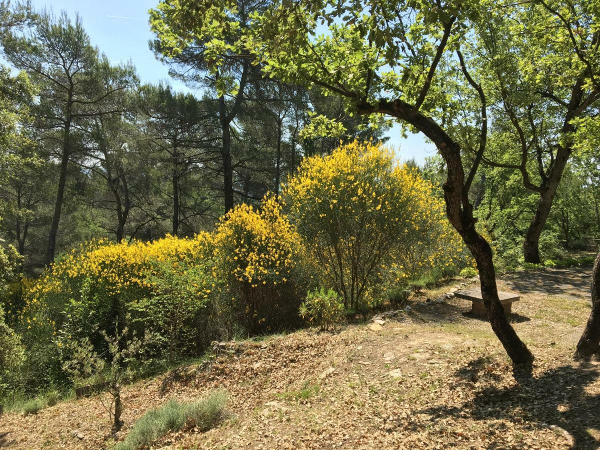 Villa De Carbonelle Pierrevert エクステリア 写真